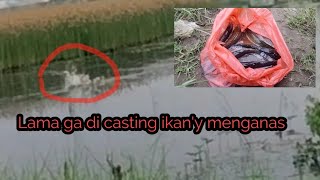 Casting ikan gabus ll nyoba spot lama ll ternyata masih jossss #herimetalfishing