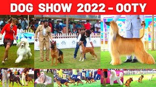 Dog  Show  Ooty  2022  |  KENNEL CLUB OF INDIA | நாய் கண்காட்சி | THE SOUTH OF INDIA KENNEL CLUB |