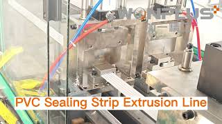 PVC Sealing Strip Extrusion Line