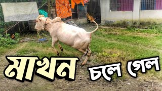 মাখন এর থেকে এটা আশা করিনাই || Purbasha Agro