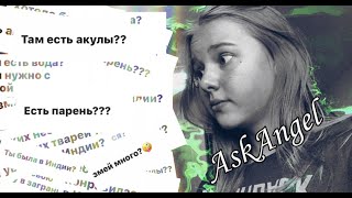 Индия/вопрос-ответ/Есть парень?/В Индии есть акулы ?/