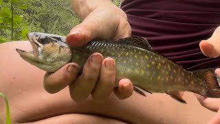 Jammed packed June fishing every day: Days 15-17. Loads of brook trout!