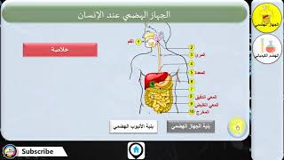 الجهاز الهضمي || الهضم الكيميائي للأغذية على مستو الأنبوب الهضمي