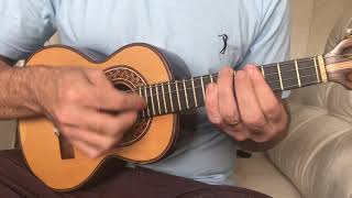 Borboleta Cega - Jorge Aragão - Cavaquinho Osvaldo Luthier