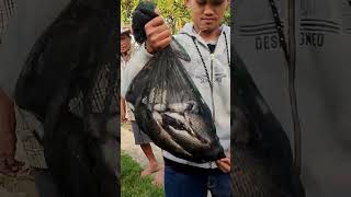 nelayan Karawang #mancingmania #mancing #mancingliar #tegekmurah #mancingkarawang #mancingmelem