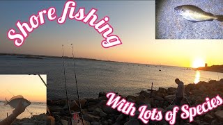 FISHING UK fishing from the shore with Paul L and South West sellers MUST WATCH