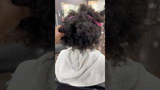 Natural Hair Silk Press | Dallas, Tx