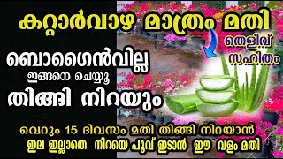 ബോഗൈൻവില്ലേ പൂക്കൾ തിങ്ങി നിറയാൻ/floweing tips /poppy vlogs /malayalam