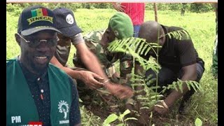 [🔴DIRECT ] Journée nationale de l’arbre : le PM Ousmane Sonko en environnementaliste