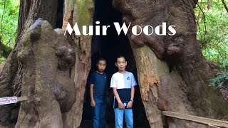 Muir Woods National Monument : Sept 28, 2019