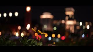 GREAT JOY 1.33X Anamorphic Lens Oval Bokeh