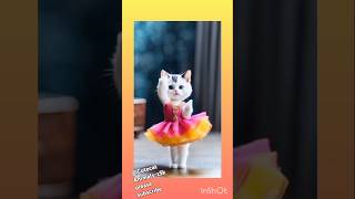 #cat #video #funny #trending #viral#jcb video viral 💕❤️💕 @Cutecat Animals-z5k