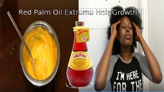 How to Use Red Palm Oil For Extremely Healthy Hair