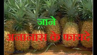 BENEFITS OF PINEAPPLE IN BODY TO MAKY BONES STRONG ASTHAMA IN HINDI || ANANAS K FAYDE ASTHAMA TIPS