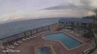 Jupiter ReefClub Live Stream