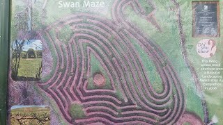 The Swan Maze Challenge