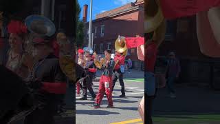 Honk! #marchingband #cambridge #MassAve