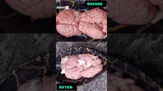 ஆட்டு மூளை சுத்தம் செய்வது எப்படி?#How to cleaning goat brain in Tami#mutton brain cleaning#short