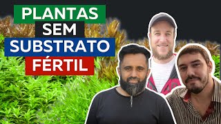 Plantas de Aquário que NÃO Precisam de Substrato Fértil