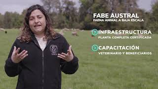 Programa Piloto Faena Animal a Baja Escala - FABE Austral