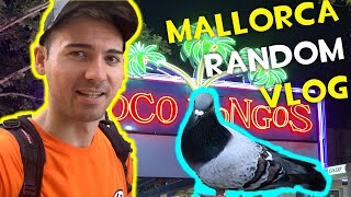 Fiesta en Magaluf y el Domador de Palomas - Mallorca Random Vlog