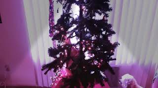 Cat tries to climb up a Christmas Tree and fails Miserably