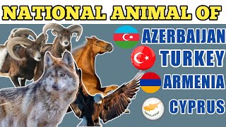 Turkey, Armenia, Azerbaijan and Cyprus national animal | national animal of countries