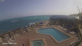 Jupiter ReefClub Live Stream