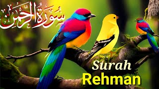 Surah Rahman | Ep - SR255 By Qari Abdul Waris | سورہ رحمٰن55 |Beautiful Recitation | Edited&04215 ✈