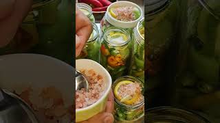 #we made great pickles,#short,#shorts