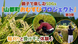 『山都町おむすびプロジェクト』稲刈り&掛け干し体験！