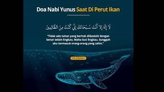 Inilah Doa yang Di baca  Nabi Yunus AS. Saat Di Dalam Perut Ikan