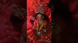 #shorts #bal gopal ji 😊🙏🥰#radhakrishna #laddugopal #vrindavan #statusvideo #viral