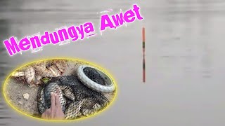 Mancing santuy sambil ziaroh 1 rawa 1 sungai 1 banjiran sawah