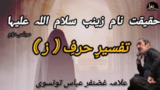 Haqeeqat-e-Naam e Zainab s.a | Majlis-2 | Allama Ghazanfar Abbas Tonsvi