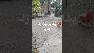 پشاور میں ژلہ باری