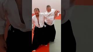 Aikido KAESHIWAZA, counter techniques, on KOKYUHO, by Stefan Stenudd