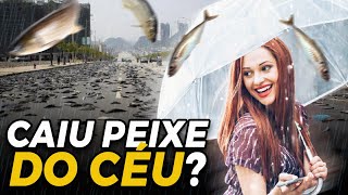 10 Coisas ABSURDAS que JÁ CAÍRAM DO CÉU!