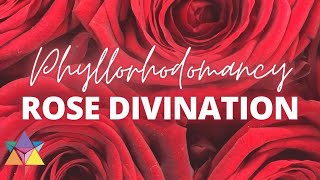 #shorts Phyllorhodomancy: Divination With Roses