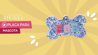 Collar para perro