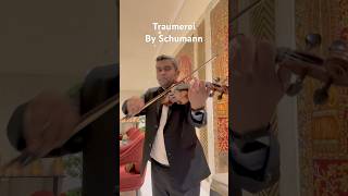 Violin player in Delhi | Western player in Delhi | Raymonds ad  #violinist #shorts #shortvideo