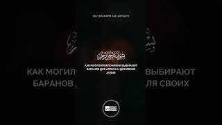 Как могилопоклонники выбирают баранов для Аллаха и для своих аулия - Абу Джамиля аш-Шаркаси