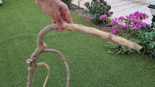 هل يمكن عمل مزهرية من غصن الشجرة Is it possible to make a vase from a tree branch