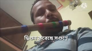 শ‍্যামা সংগীত - দোষ কারও নয় গো মা..