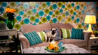 FBD Home Insurance - Comercial de TV - Propaganda com Pug