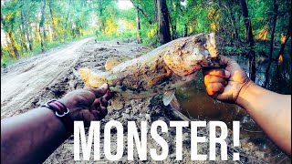 Adventures from the Bank: Louisiana 2020 Part 1 - Monster Mud Bass!