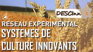 DESCInn #1/7 - Des systèmes de cultures innovants en Auvergne-Rhône-Alpes