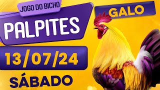 PALPITE DO DIA 13/07/2024 - JOGO DO BICHO 🍀 TODAS AS LOTERIAS 🍀