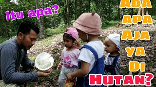 Referensi WISATA Keluarga di Banten. WISATA ALAM KE HUTAN DUREN MANCAK. Ajak anak mengenal ALAM