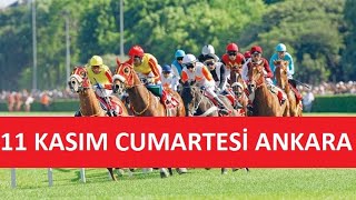 11 KASIM 2023 CUMARTESİ ANKARA AT YARIŞI TAHMİNLERİ VE YORUMLARI